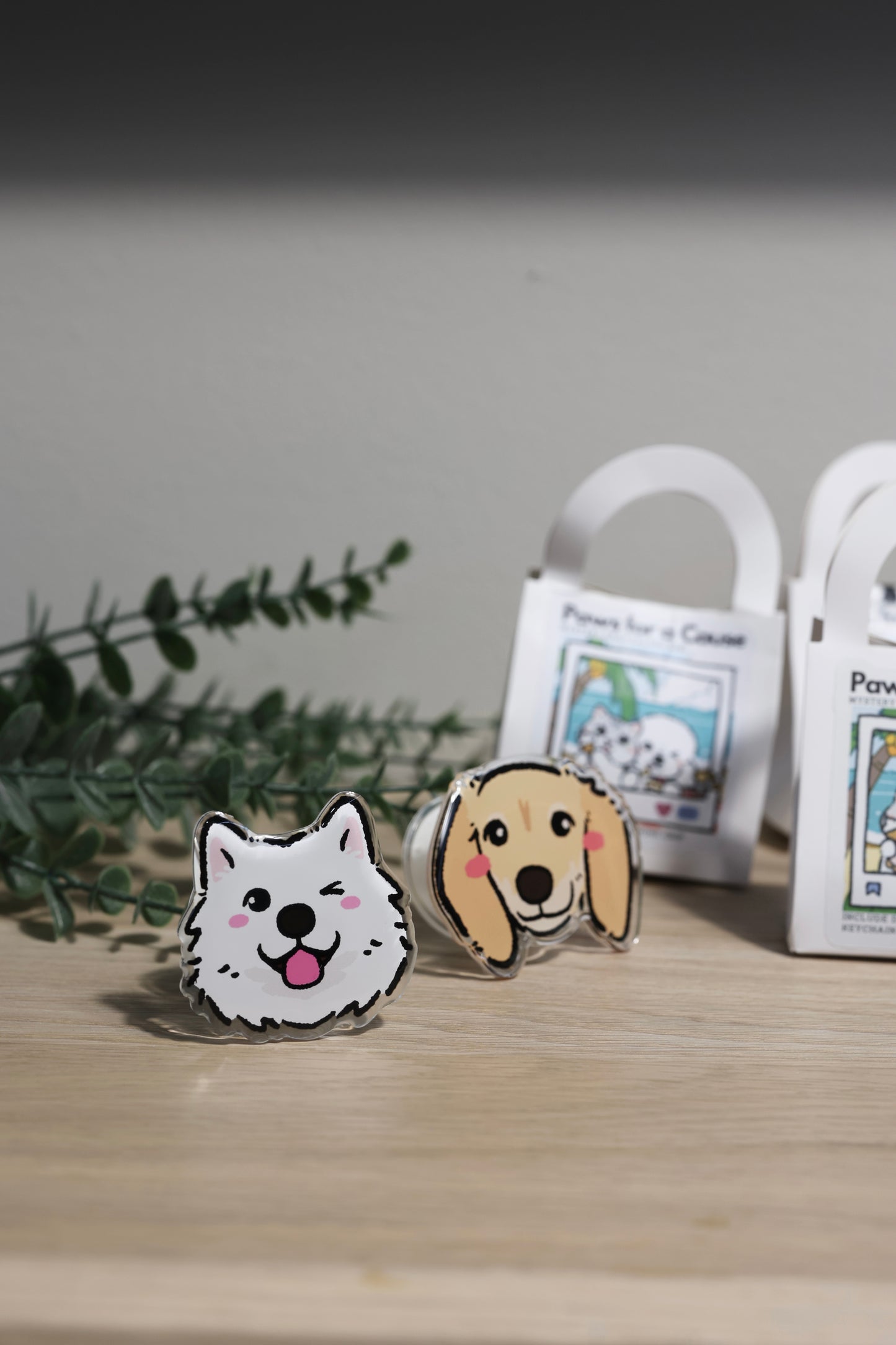 ๐พ Paws for a Cause โ Blind Box ๐พ