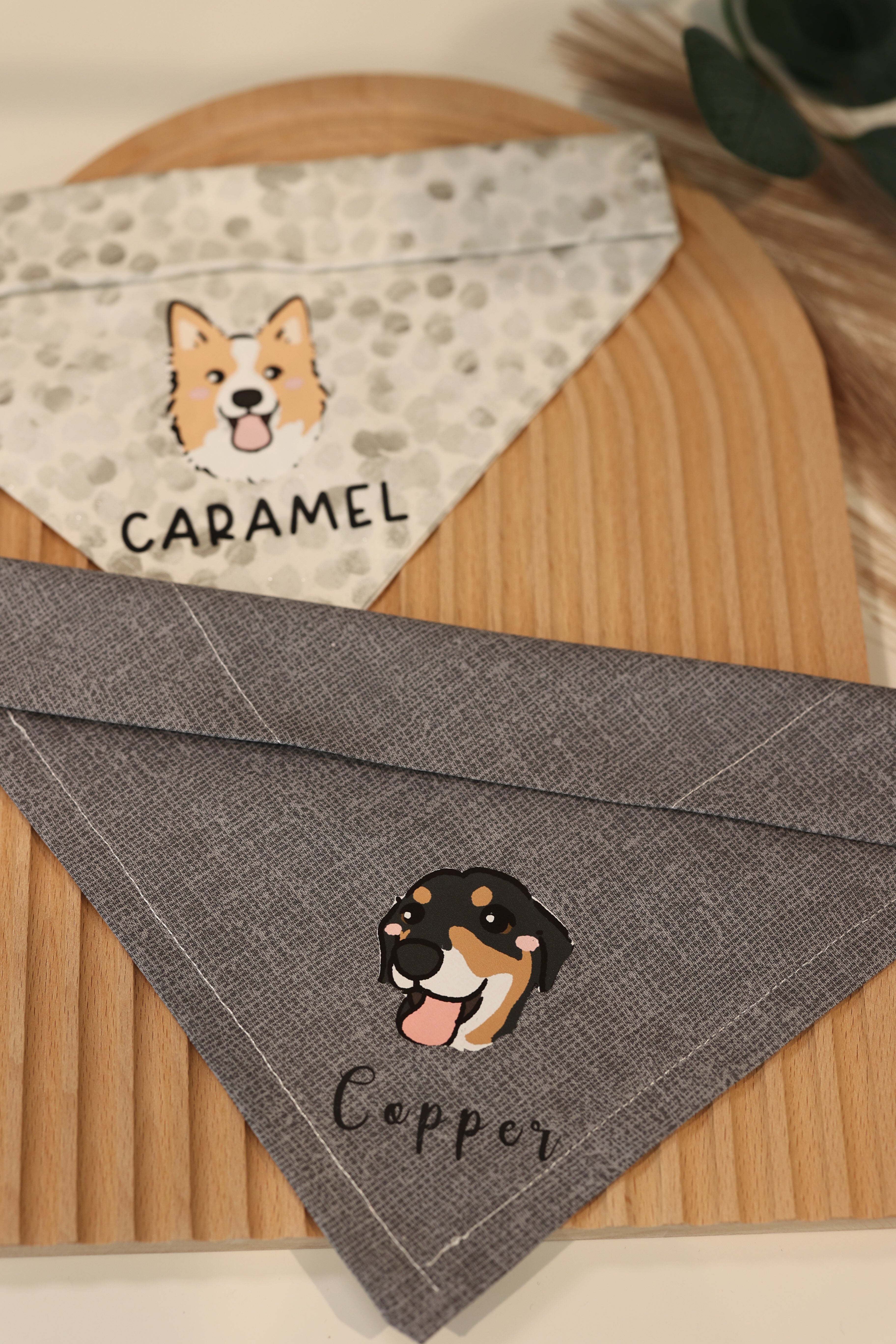 Personalized pet bandana best sale