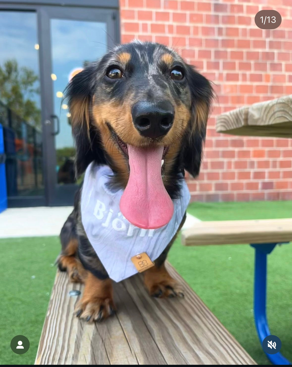 Custom Embroidered Name Over the Collar Bandana