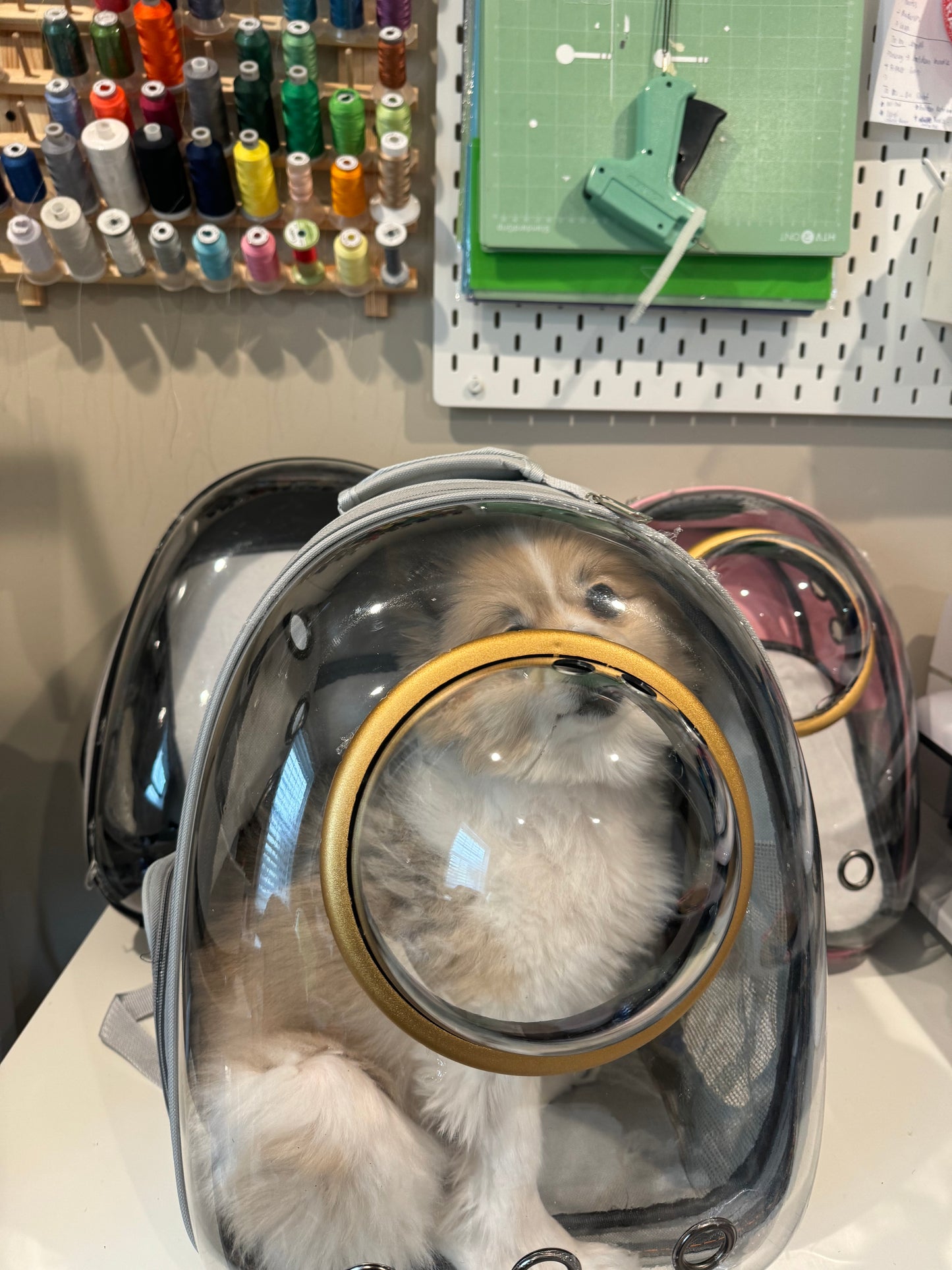 Space Capsule Bubble Window Pet Carrier Backpack