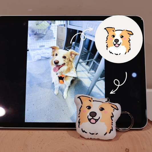 Custom Pet Portrait Pillow Keychain